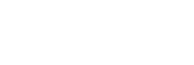 T4S Technology for Security